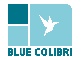 Blue Colibri