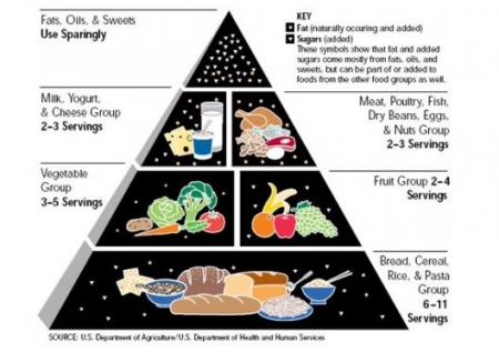 Az USA Mezőgazdasági Minisztériumának és Egészségügyi Minisztériumának táplálkozási piramisa, 1992